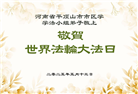河南大法弟子庆祝世界法轮大法日(19条)