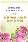 湖南大法弟子庆祝世界法轮大法日(20条)