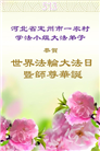 乡村大法弟子庆祝世界法轮大法日(22条)