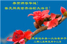 江苏大法弟子庆祝世界法轮大法日(20条)