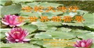 临沂大法弟子庆祝世界法轮大法日(20条)