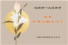 沈阳大法弟子庆祝世界法轮大法日(19条)
