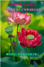 四川大法弟子庆祝世界法轮大法日(19条)