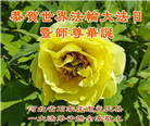 石家庄大法弟子庆祝世界法轮大法日(18条)