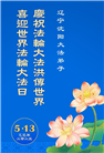 沈阳大法弟子庆祝世界法轮大法日(19条)