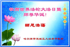 哈尔滨大法弟子庆祝世界法轮大法日(18条)