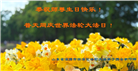 山东大法弟子庆祝世界法轮大法日(20条)