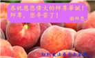 纽约地区大法弟子庆祝世界法轮大法日
