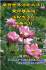 山东大法弟子庆祝世界法轮大法日(18条)