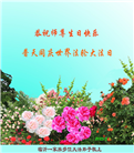 临沂大法弟子庆祝世界法轮大法日(20条)