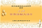 成都大法弟子庆祝世界法轮大法日(19条)