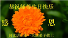 唐山大法弟子庆祝世界法轮大法日(23条)
