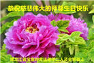 黑龙江大法弟子庆祝世界法轮大法日(18条)