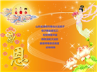 山东大法弟子庆祝世界法轮大法日(29条)
