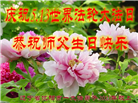沈阳大法弟子庆祝世界法轮大法日(21条)