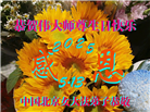 北京大法弟子庆祝世界法轮大法日(22条)