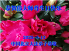 北京大法弟子庆祝世界法轮大法日(22条)