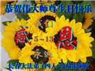 长春大法弟子庆祝世界法轮大法日(21条)