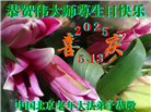 北京大法弟子庆祝世界法轮大法日(22条)