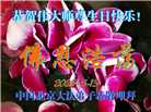 北京大法弟子庆祝世界法轮大法日(22条)