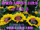北京大法弟子庆祝世界法轮大法日(22条)