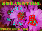 北京大法弟子庆祝世界法轮大法日(22条)
