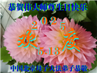 北京大法弟子庆祝世界法轮大法日(22条)