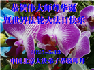 北京大法弟子庆祝世界法轮大法日(22条)