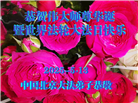 北京大法弟子庆祝世界法轮大法日(22条)