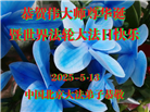 北京大法弟子庆祝世界法轮大法日(22条)