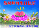 大陆大法弟子庆祝世界法轮大法日(28条)