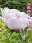 山东大法弟子庆祝世界法轮大法日(22条)