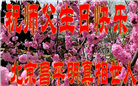 北京大法弟子庆祝世界法轮大法日(22条)