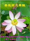 北京大法弟子庆祝世界法轮大法日(22条)