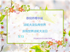 河北大法弟子庆祝世界法轮大法日(20条)