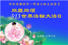 廊坊大法弟子庆祝世界法轮大法日(26条)
