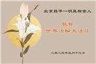 北京大法弟子庆祝世界法轮大法日(18条)