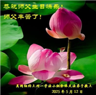 纽约地区大法弟子庆祝世界法轮大法日