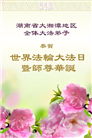 湖南大法弟子庆祝世界法轮大法日(22条)