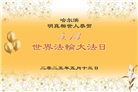 哈尔滨大法弟子庆祝世界法轮大法日(22条)
