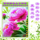 吉林省大法弟子庆祝世界法轮大法日(20条)