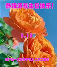 葫芦岛大法弟子庆祝世界法轮大法日(20条)