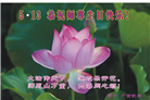 广西大法弟子庆祝世界法轮大法日(19条)