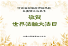 石家庄大法弟子庆祝世界法轮大法日(21条)