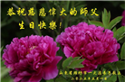 山东大法弟子庆祝世界法轮大法日(29条)