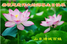 山东诸城百姓心声：我们都感谢大法师父