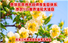 鸡西大法弟子庆祝世界法轮大法日(22条)