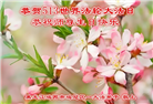 鸡西大法弟子庆祝世界法轮大法日(22条)