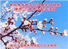 鸡西大法弟子庆祝世界法轮大法日(22条)