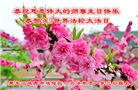 鸡西大法弟子庆祝世界法轮大法日(22条)